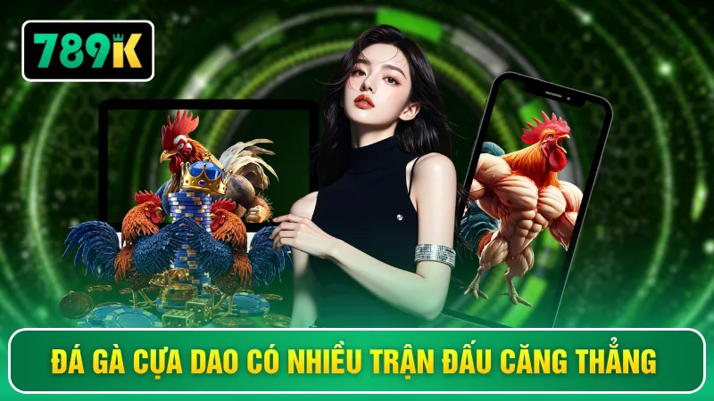Đá gà cựa dao có nhiều trận đấu căng thẳng