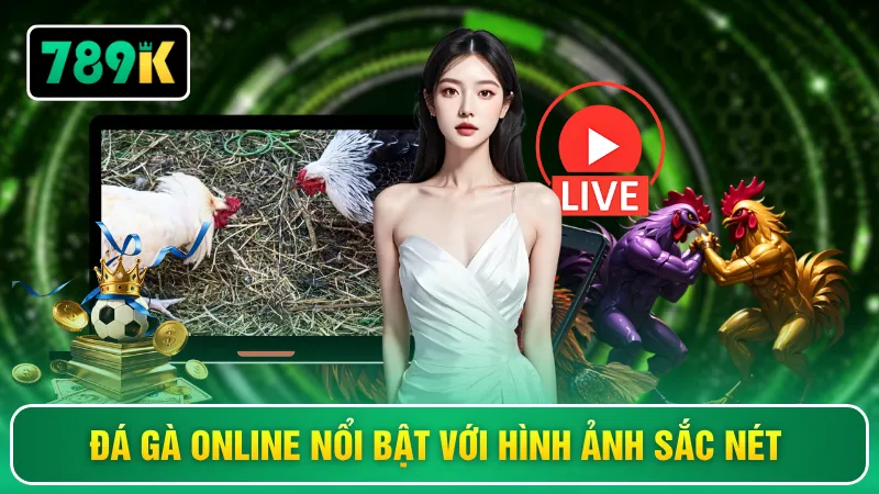 Đá gà online nổi bật với hình ảnh sắc nét