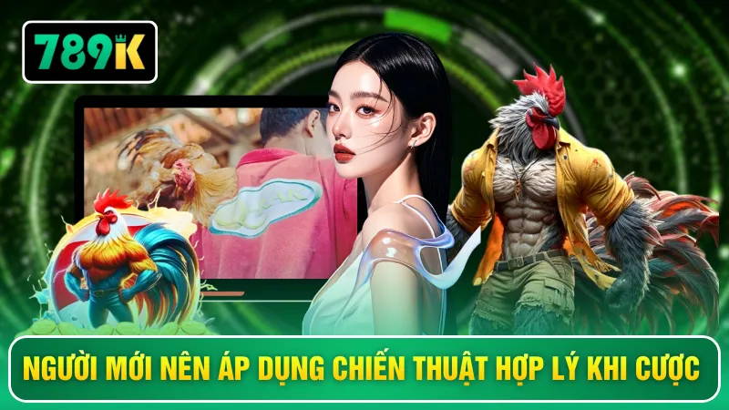 Người mới nên áp dụng chiến thuật hợp lý khi cược