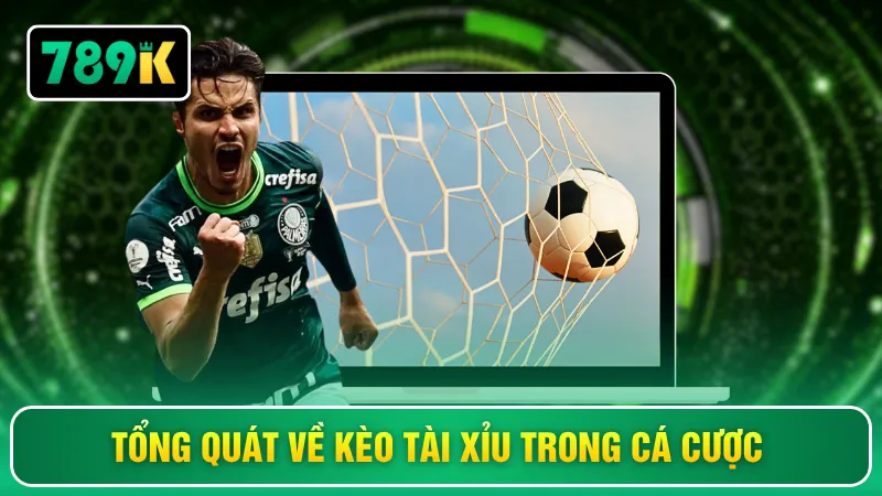 Tổng quát về kèo tài xỉu trong cá cược